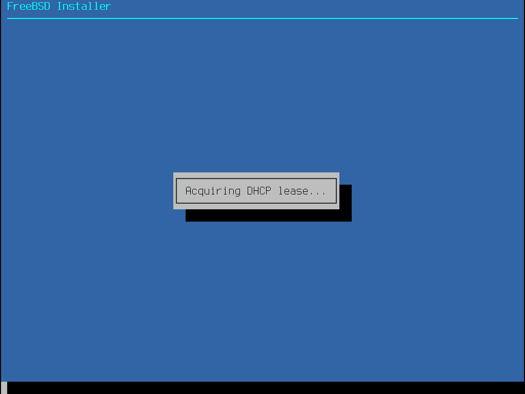 请求 DHCP